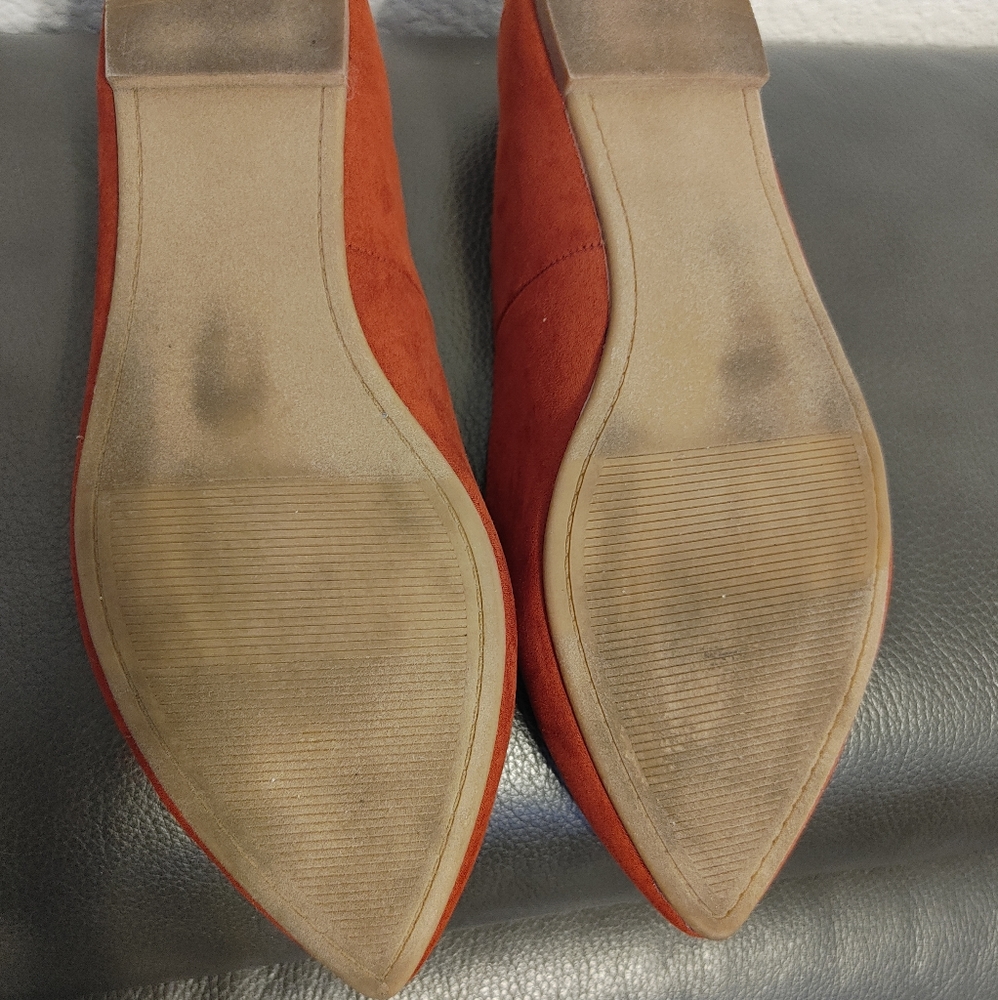Torrid Flats - Picture 12 of 15